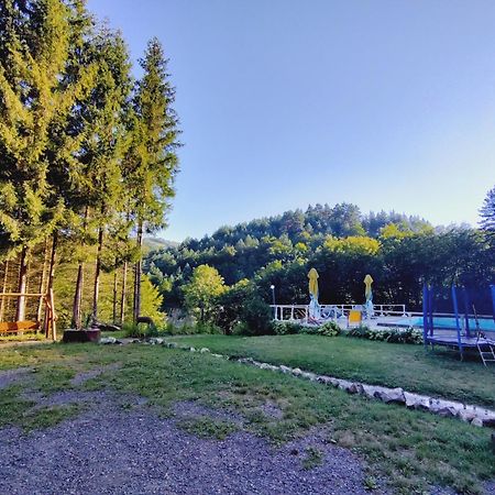 Cabana Cerbu Bozovici Exterior photo