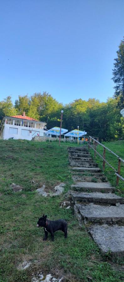 Cabana Cerbu Bozovici Exterior photo